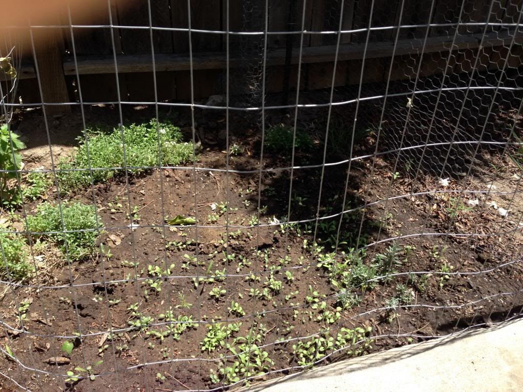  photo Picture040_zps65ae943d.jpg